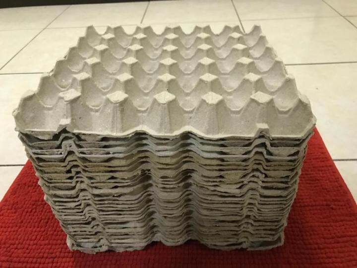 Egg crate for (dubia) (roaches) Lazada