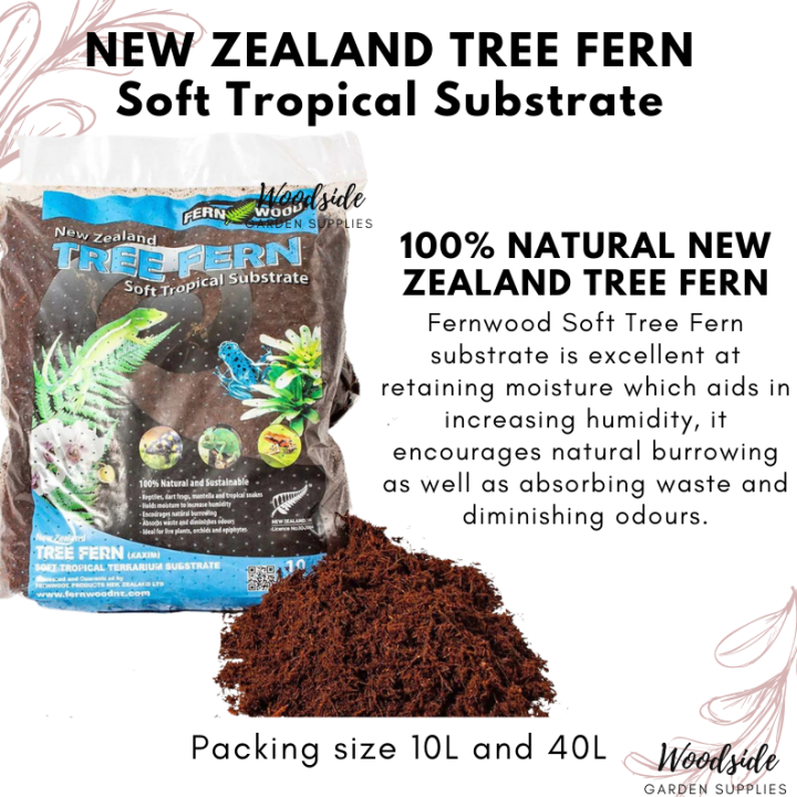 Fernwood Tree Fern New Zealand Soft Tropical Substrate 100 Natural