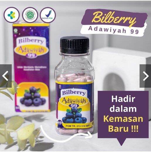 Bilberry 60 Kapsul herbal mata minus plus glukoma Ekstrak Bilberry