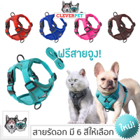 PET HARNESS สายรัดอก แมว พร้อมสายจูง สายรัดอกสุนัข ระบายความร้อน สายรัดอกหมา สายจูงสุนัข Cleverpet