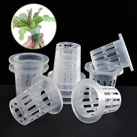 10Pcs Hydroponic Colonization Mesh Seeds Nursery Pot Net Cup Sponge Basket Container Plant Soilless Culture Planting Grow System