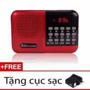 Máy nghe nhạc từ thẻ nhớ, FM, Kinh phật S61