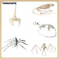 FANGCU272สไปเดอร์แมนสยองขวัญค้างคาวปาร์ตี้บ้านตกแต่งฮาโลวีนกระดูกพลาสติกโครงกระดูกสัตว์อุปกรณ์แสดงมายากลกะโหลกศีรษะเทียม