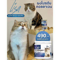 8.8 #ผงโรยอาหารแมว #ส่งฟรี Lisa Cat Collagen หยุดขนร่วง เสิรมสร้างขนแน่น เพิ่มกล้ามเนื้อ วิตามินรวม เสริมภูมิคุ้มกัน