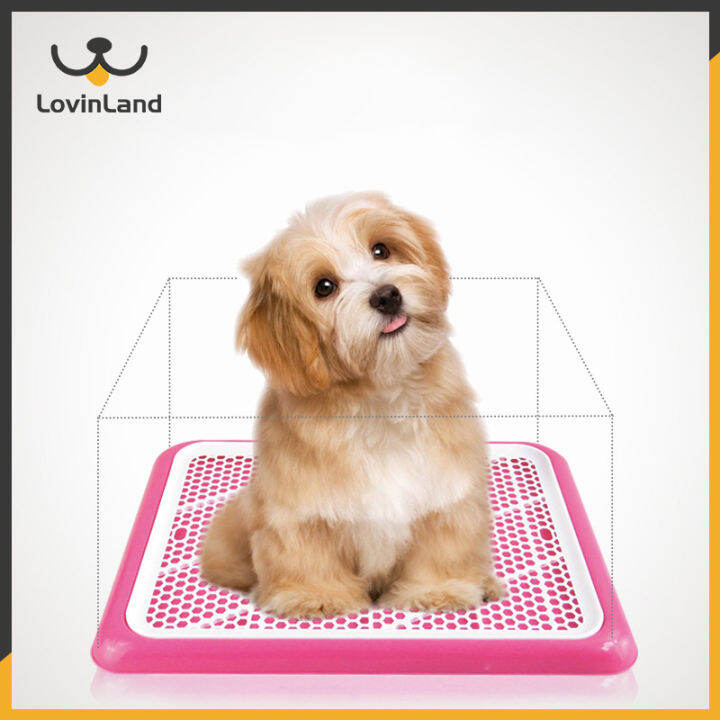 Lovinland Pet Toilet Mat Plastic Dog Training Pads Tray Toilet Mat