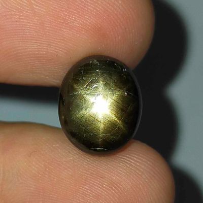 พลอย แบล็ค สตาร์ แซฟไฟร์ บางกะจะ ธรรมชาติ แท้ ( Natural Black Star Sapphire ) หนัก 12.82 กะรัต