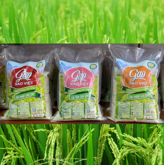 Gạo đài thơm cao cấp bịch 5kg - gạo sao việt - gạo thơm, gạo dẻo - ảnh sản phẩm 6