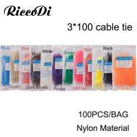 100Pcs/package 3*100mm Colorful Factory Standard Self-locking Plastic Nylon Cable Tie