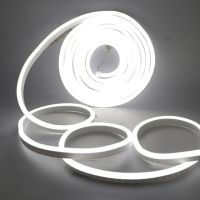 EU 220V Neon Strip Waterproof White/Warm White 2835 120LEDs/m Ribbon Tape Flexible LED Strip Lamp for Outdoor Garden Decoration