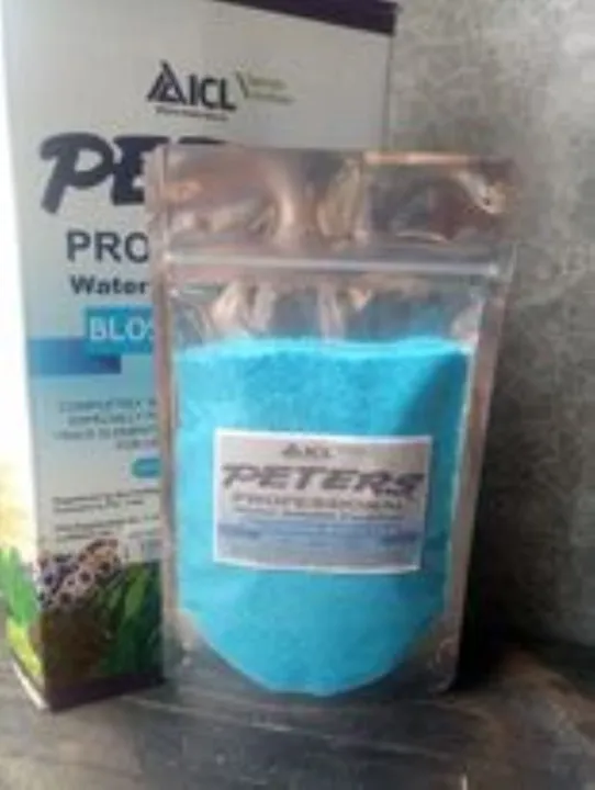 PETERS BLOSSOM BOOSTER (9-45-15) 100G super effective na pampa bulaklak ...
