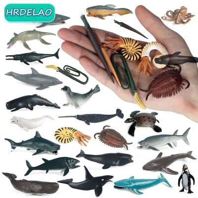 ZZOOI 6pc Marine Animals Dolphin Rays Whale Shark Model Action Figures Aquarium Fish Miniature Figurines Educational toys for children