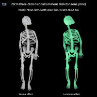 โครงกระดูกเรืองแสงฮาโลวีน PDD เพิ่มบรรยากาศดีฮาโลวีนสำหรับบาร์ปาร์ตี้กลางแจ้ง