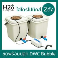 ถังปลูกไฮโดรโปนิกส์ 2 ถัง ชุดพร้อมปลูก DWC Hydroponics bucket