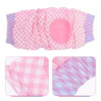 12Pcs Professional Pet Dog Diapers Disposable Dog Diapers with Tail Hole