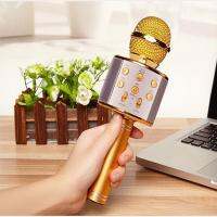 WS858 Wireless Karaoke Portable Professional Speaker Home KTV Handheld Microphone USB Singing Recording Player Function Family