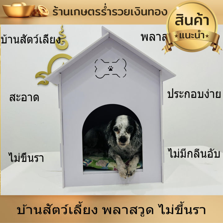 บ้านสัตว์เลี้ยง-พลาสวูด-บ้านสุนัข-บ้านหมา-บ้านแมว-ขนาด-l-52x37ซม-ประกอบง่าย-สะอาด-ไม่ขึ้นรา-ไม่เหม็นอับ-กันแดด-กันฝน-ทนทาน-งานดี