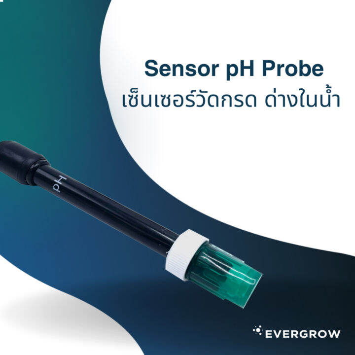 ready-stock-เซ็นเซอร์วัดกรด-ด่างในน้ำ-sensor-ph-probe-evg100มีบริการเก็บเงินปลายทาง