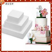 BUSH 4/6/8/ inch อุปกรณ์ครัว โฟม Sugarcraft แม่พิมพ์อบ รูปแบบการฝึก แม่พิมพ์เค้กโฟม เค้กดัมมี่