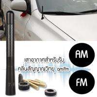 เสาอากาศวิทยุรถยนต์แบบสั้น 12 cm. (Black)