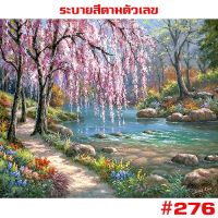 แนะนำ ? 276  ขึงเฟรมไม้  พร้อมส่ง  รูปวาด ภาพวาด DIY PAINT ภาพวาดระบายสี ภาพวาดสีน้ำมัน ภาพระบายสีตามตัวเลข ระบายสีตามเลข