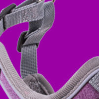 Pet Harness สายรัดอกสุนัขแถบสะท้อนแสงระบายอากาศพร้อมสายจูงยาว 1.5 ม สำหรับสุนัขขนาดเล็กและขนาดกลาง