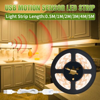 5V Waterproof Under Cabinet Lamp Kitchen Light USB Smart Motion Sensing Lamp Strip LED Flexible Ribbon LED Wardrobe Light Strip