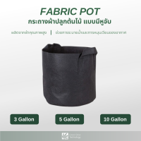 Fabric Pot กระถางปลูกต้นไม้ กระถางผ้า มีหูหิ้ว ขนาด 3 , 5 , 10 แกลลอน