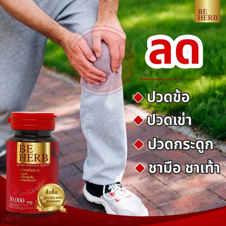 สาหร่ายแดง-beherb-บีเฮิร์บ-บำรุงร่างกายความดันเบาหวานปวดข้อเข่า-5-กระปุก-150-แคปซูล-ราคา-1-690-บาท-พร้อมของแถม-จัดส่งฟรีเก็บเงินปลายทาง