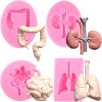 Lung Intestines Kidney Silicone Mold Halloween Human Organs Fondant Molds Cake Decorating Tools Candy Chocolate Baking Mould Bread Cake  Cookie Access