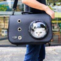 ✕✸ Pet Dog Bag