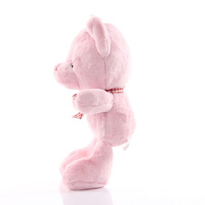 Teddy Colorful 25cm Anime Bear Pink Purple Bear Soft Plush Gift Doll Birthday