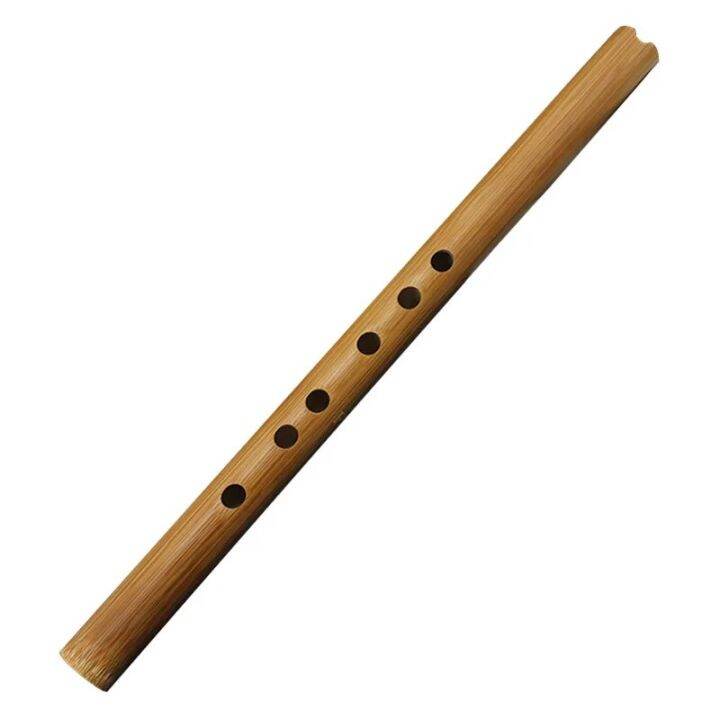 Chinese Bamboo Flute Xiao UShaped Mouthpiece Refined Short Xiao Nan