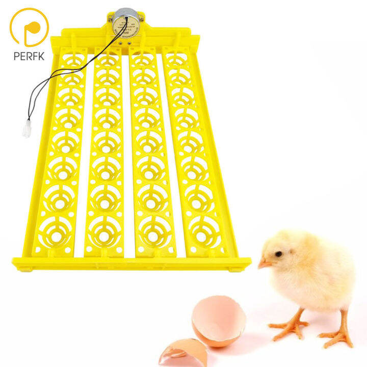 Perfk Egg Incubator Tray Small 32 Eggs Automatic Turning 220V Hatcher