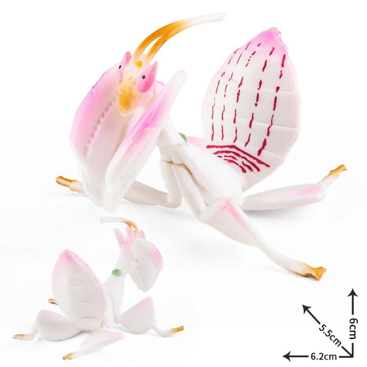 cc-simulation-praying-mantis-model-prayer-bug-insect-ornamentsminiature-educational-kids