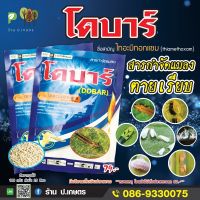 โดบาร์ : ชื่อสามัญไทอะมีทอกแซม25%WG(100G)(แอคทารา)(เพลี้ยไฟ,เพลี้ยอ่อน,เพลี้ยแป้งฯลฯ)