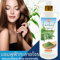 MESZE Shampoo แชมพู สูตรฟ้าทลายโจร ขนาด 450ml ยาสระผม สมุนไพรแท้ ธรรมชาติ ไม่ใส่สารกันเสีย พาราเบน ซิลิโคน SLS SLES แก้อาการผมแตกปลาย ลดอาการคัน