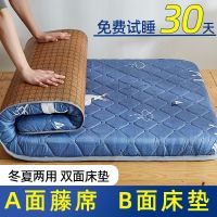 ▪ cushion student dormitory single tatami sponge mat floor shop rental special sleeping pad