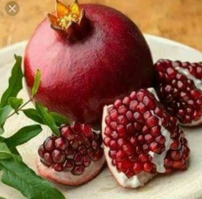 20 เมล็ด เมล็ดทับทิม (Pomegranate) สายพันธุ์ แดงอินเดีย ของแท้ 100% อัตราการงอก 70-80% Pomegranate Seed มีคู่มือปลูก
