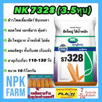 ข้าวโพดเลี้ยงสัตว์ เอ็นเค NK 7328 เบอร์2 (3.5 หุน) หมดอายุ12/2567 ขนาด 10 กิโลกรัม ซินเจนทา เมล็ดกลมกลาง งอกดี ฝักใหญ่ ผลผลิตสูง ทนแล้ง ข้าวโพด