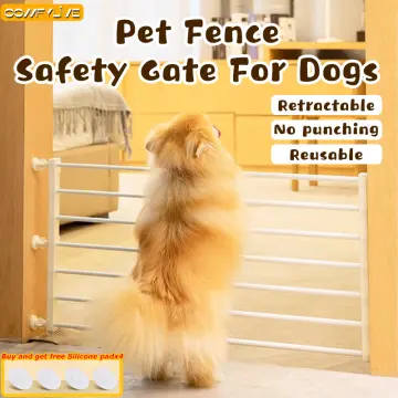 Buy dog cheap fence