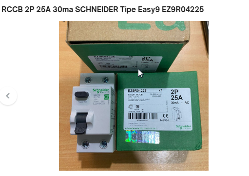 RCCB 2P 25A 30ma SCHNEIDER Tipe Easy9 EZ9R04225 | Lazada Indonesia