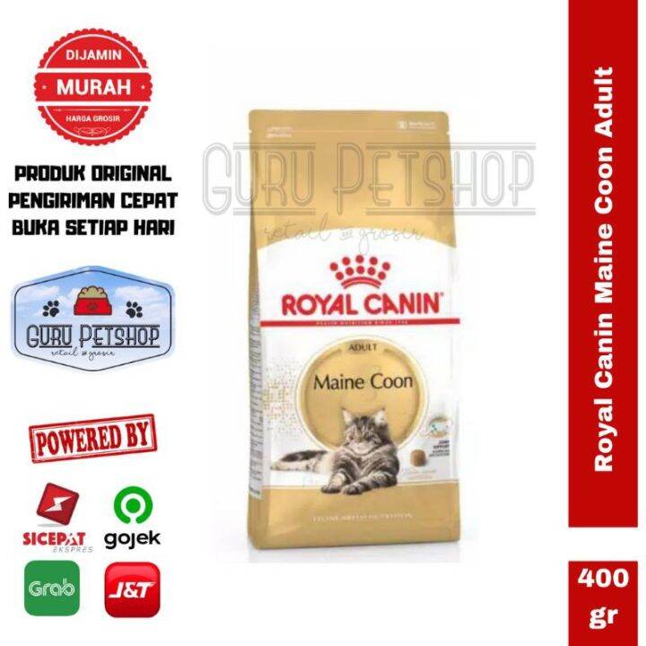 Royal canin hotsell maine coon 31