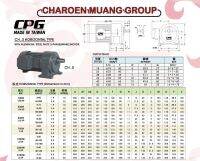 CPG MOTOR GRAR 1/4hp 1:3 500rpm 220/380v