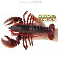 Animal Kingdom - โมเดล Lobster กุ้ง มังกร บอสตัส แดง ขนาด 23.00 CM (จากสงขลา)