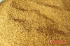 Hcmlúa khô thóc vàng 4kg - ảnh sản phẩm 2
