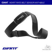 ฮาร์ทเรท GIANT HEART RATE BELT SENSOR ANT+&amp;BLE 2 IN 1 NEW