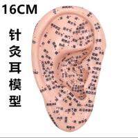 [HOT ZUQIOULZHJWG 517] 16ซม. หู Auricular ฝังเข็มรุ่น Ear Reflex Area รุ่น Central Meridian Tong มาตรฐาน Acupoint รุ่นนวดหูรุ่น