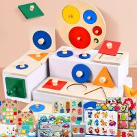 Wooden Puzzle Montessori Toys For Kids Children Geometric Shape Peg Puzzle Educational Sensory Activity Baby Toys 2 3 4 5 6 Year