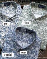 เสื้อเชิ๊ตคอปกแขนยาวลายไผ่ 02