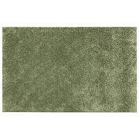 พรมสำหรับแต่งบ้าน พรมปูพื้น พร้อมคุณสมบัติกันลื่น Entrance Mat Moss (NB) ยี่ห้อ Kleentex